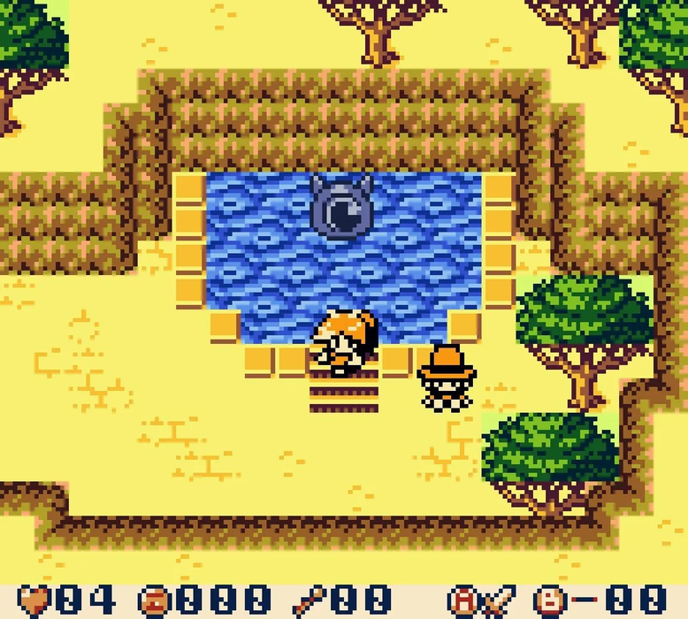 🎮 HIME'S QUEST GBC Game Cartridge | 2023 Retro Anime RPG Adventure