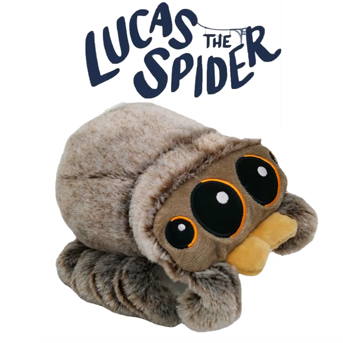 🕷️ Cute Little Spider & Flybaby Plush Toys | Adorable Cartoon Animal Dolls 🎁