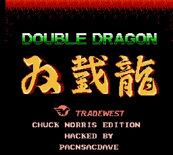Double Dragon: Chuck Norris Edition - NES