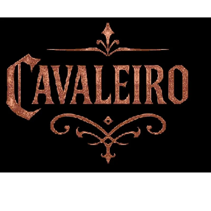 MD Cavaleiro 16 Bit Game Card for Mega Drive Genesis