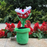 🌿 Trottin' Piranha Plant Plush | Mario-Inspired Stuffed Toy | 9" Tall w/ Tag