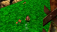 🐻 Banjo-Kazooie: Stay At Home - N64 Cartridge
