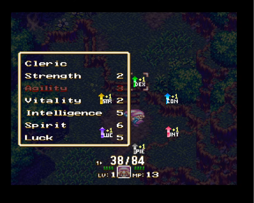 Screen capture of a video game with character stats and a person in the corner.