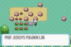 Pokémon Snakewood – GBA